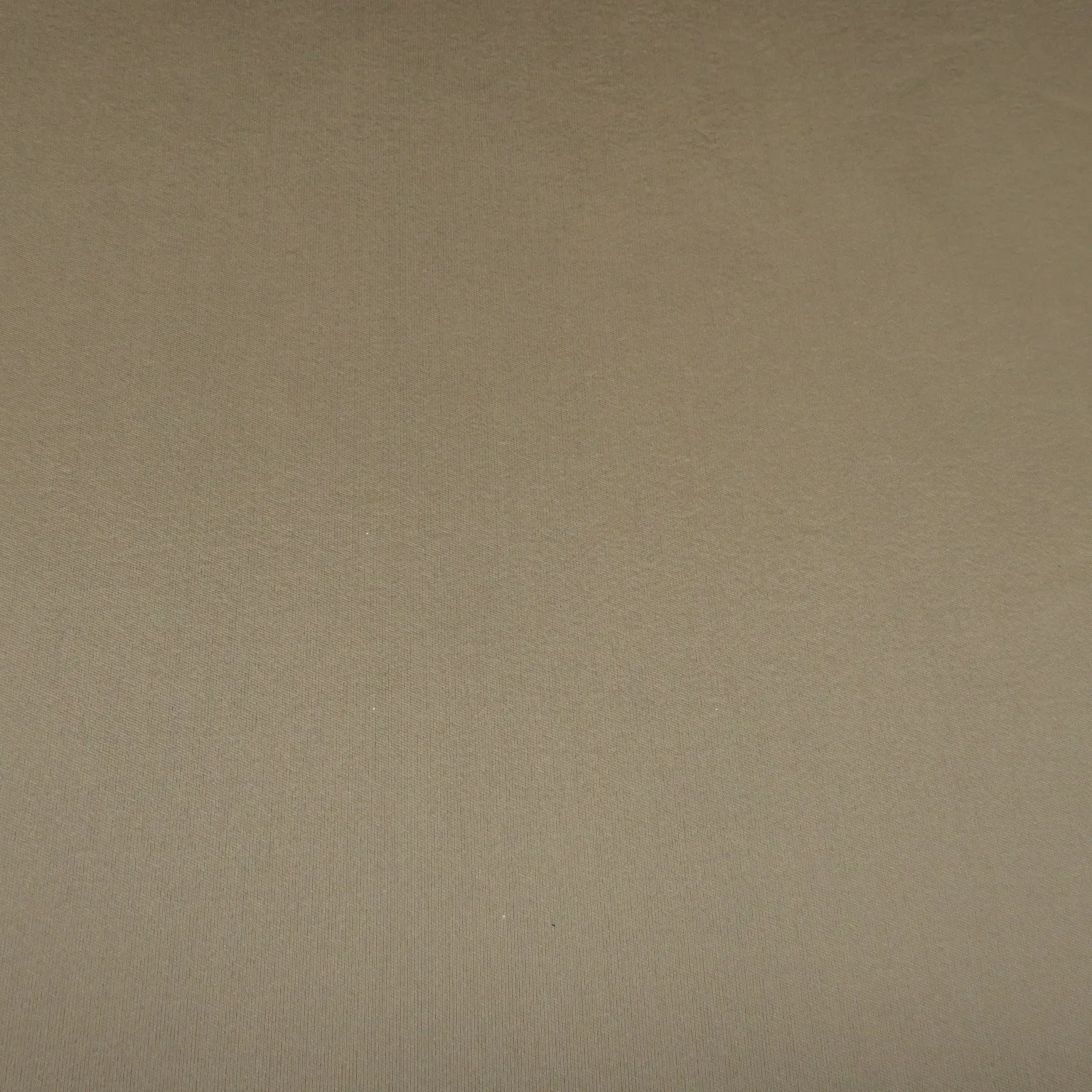 Nude Silk and Wool Woven Fabric